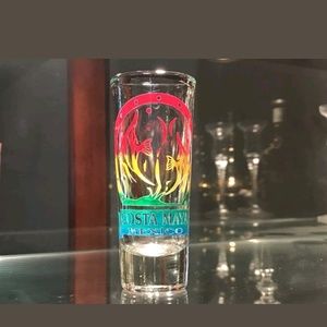 Costa Maya Mexico souvenir tall shot glass 4" Tall